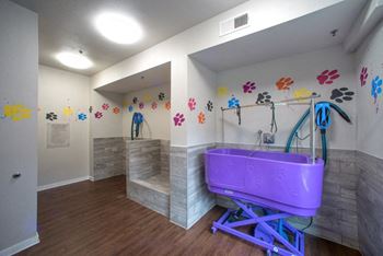 Pet spa 